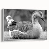 Framed wall art featuring a serene goose design on a white background, showcasing elegant brushstrokes and a modern aesthetic, perfect for home decor.