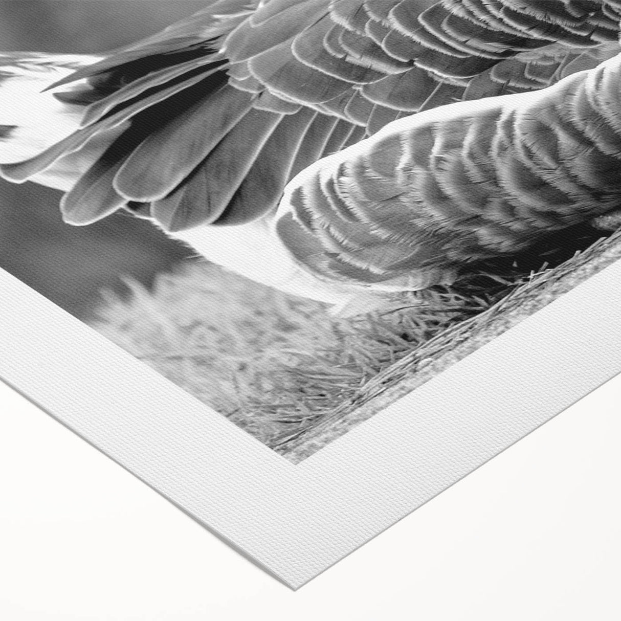 Rolled canvas wall art showcasing a vibrant goose design with intricate details, perfect for home decor. Packaged securely in a durable cardboard tube for delivery.