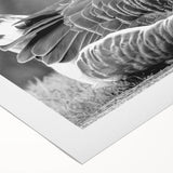 Rolled canvas wall art showcasing a vibrant goose design with intricate details, perfect for home decor. Packaged securely in a durable cardboard tube for delivery.