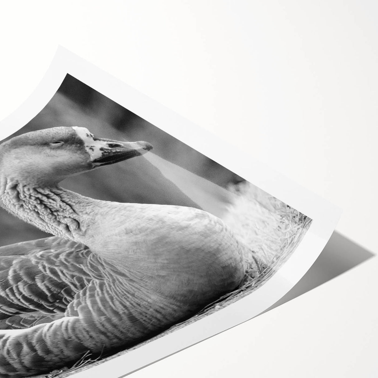 Colorful wall art print showcasing a serene scene of geese in flight against a soft blue background, perfect for home decor enthusiasts seeking nature-inspired designs.