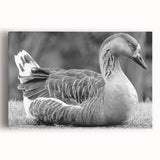 Stretched canvas artwork showcasing a serene goose design in soft pastel colors, perfect for home decor in living rooms or offices, enhancing tranquil aesthetics.