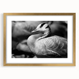 Framed wall art collection featuring a stylish goose design with a gold mat, ideal for enhancing modern home decor. Perfect for bird lovers and art enthusiasts.