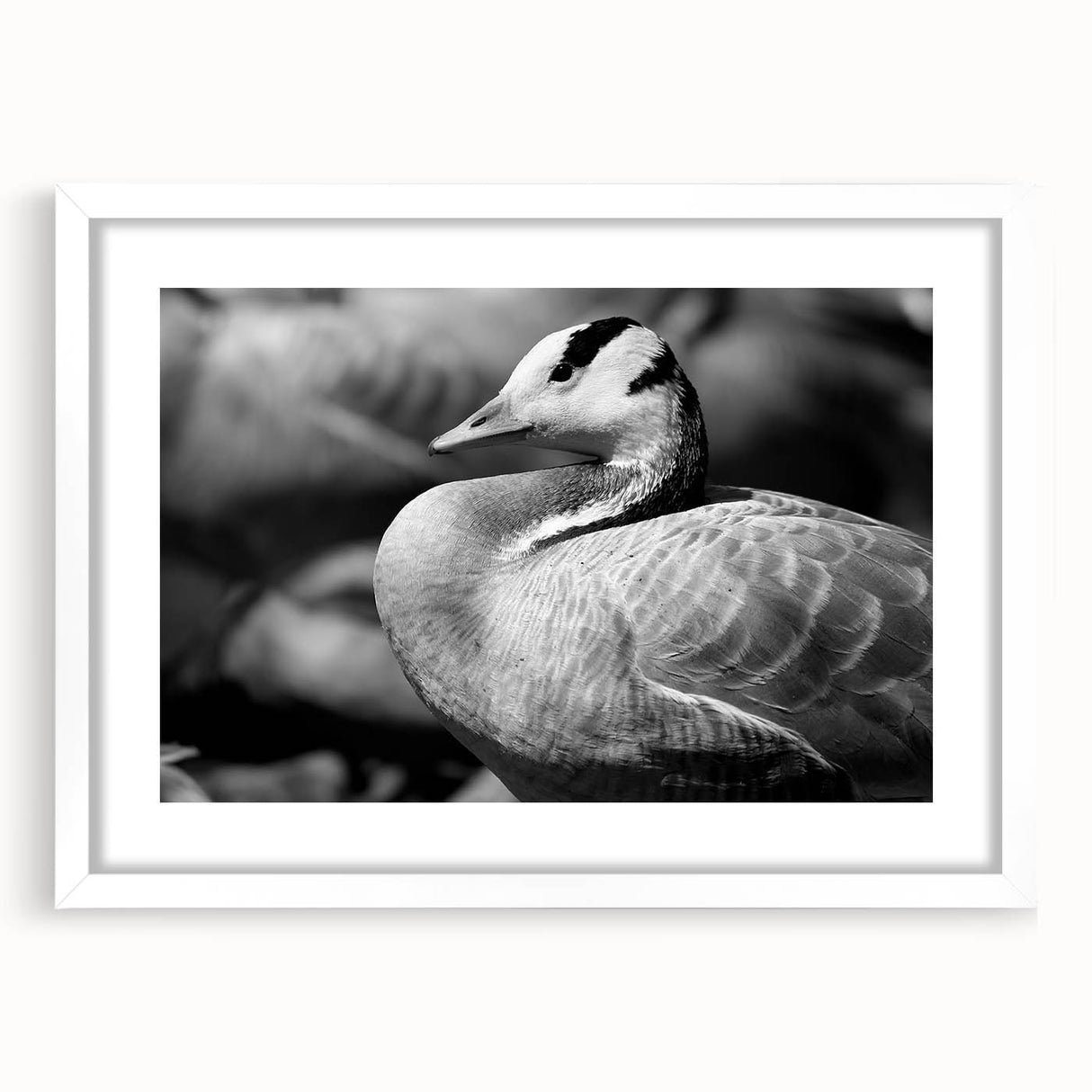Framed wall art featuring an elegant goose design in soft colors, displayed with a white mat for a modern aesthetic, perfect for home decor.