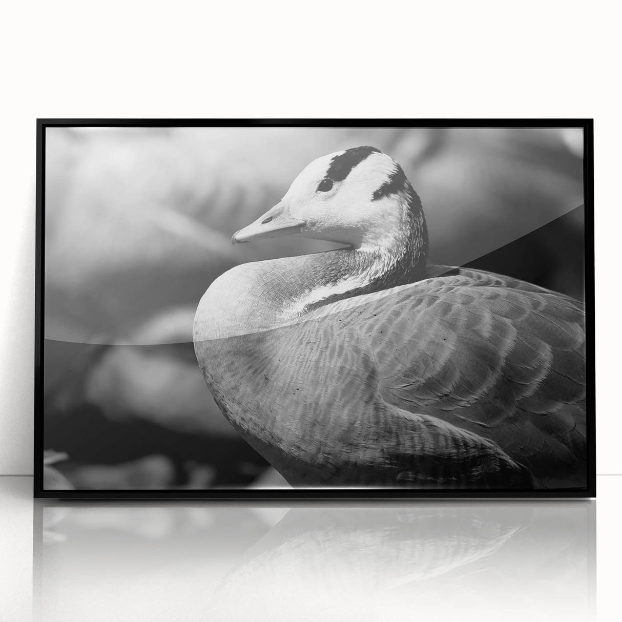Framed wall art featuring a stunning goose design, showcasing intricate details in black acrylic with a sleek modern frame. Ideal for contemporary decor.