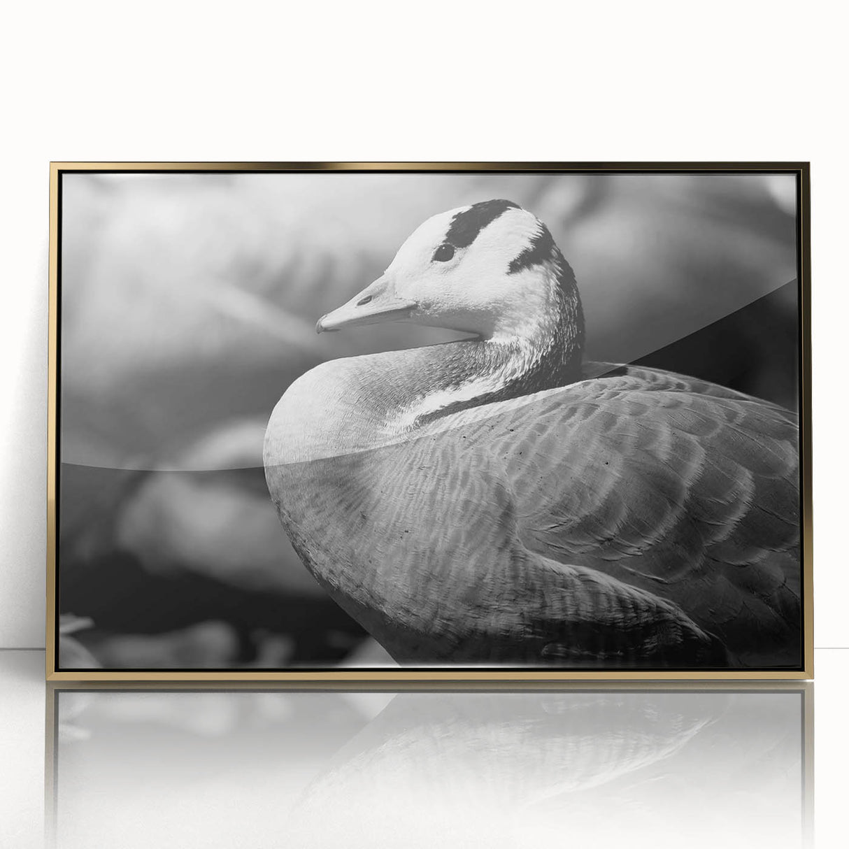 Framed wall art collection featuring a stylish goose design with gold accents, displayed in an elegant acrylic frame, ideal for modern home decor.