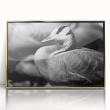 Framed wall art collection featuring a stylish goose design with gold accents, displayed in an elegant acrylic frame, ideal for modern home decor.
