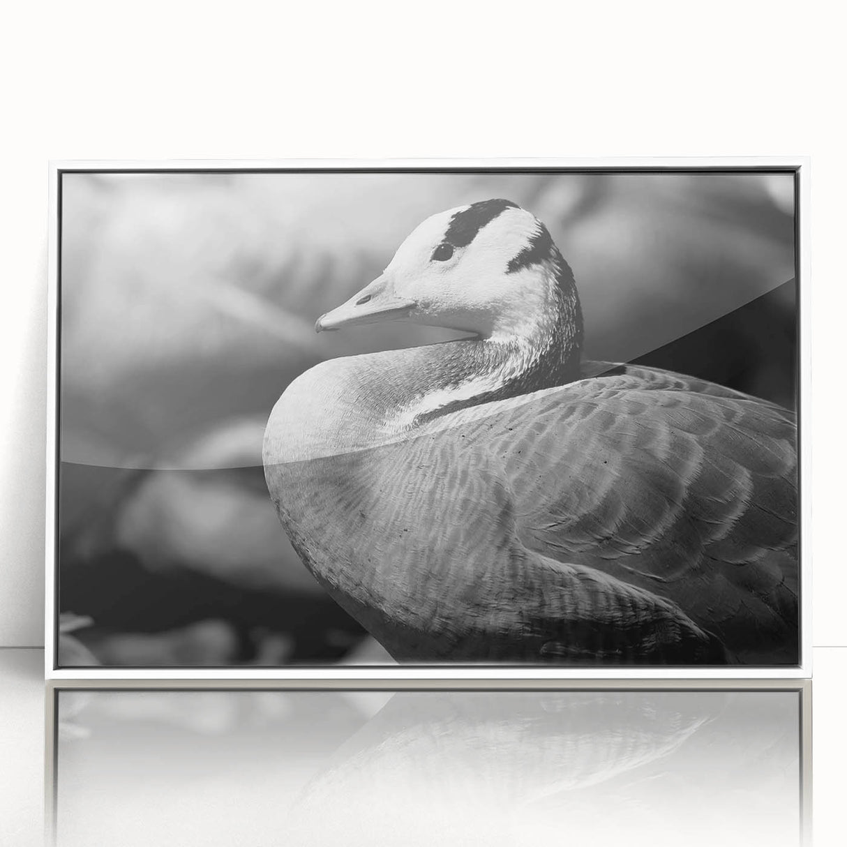 Framed wall art featuring a contemporary goose design, displayed in a sleek white frame, perfect for modern home decor. The acrylic surface enhances colors and details.