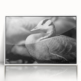 Framed wall art featuring a contemporary goose design, displayed in a sleek white frame, perfect for modern home decor. The acrylic surface enhances colors and details.