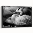 Framed wall art featuring a striking goose design on canvas, presented in a sleek black frame, ideal for modern home décor. This piece adds elegance and nature-inspired charm to any interior setting.