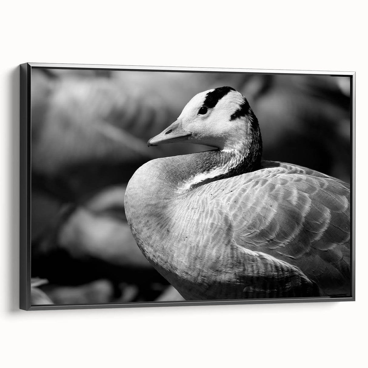 Framed wall art featuring a striking goose design on canvas, presented in a sleek black frame, ideal for modern home décor. This piece adds elegance and nature-inspired charm to any interior setting.