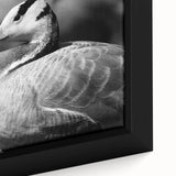 Framed canvas wall art featuring a close-up of a vibrant goose design, showcasing detailed feathers and rich colors, perfect for enhancing home decor.