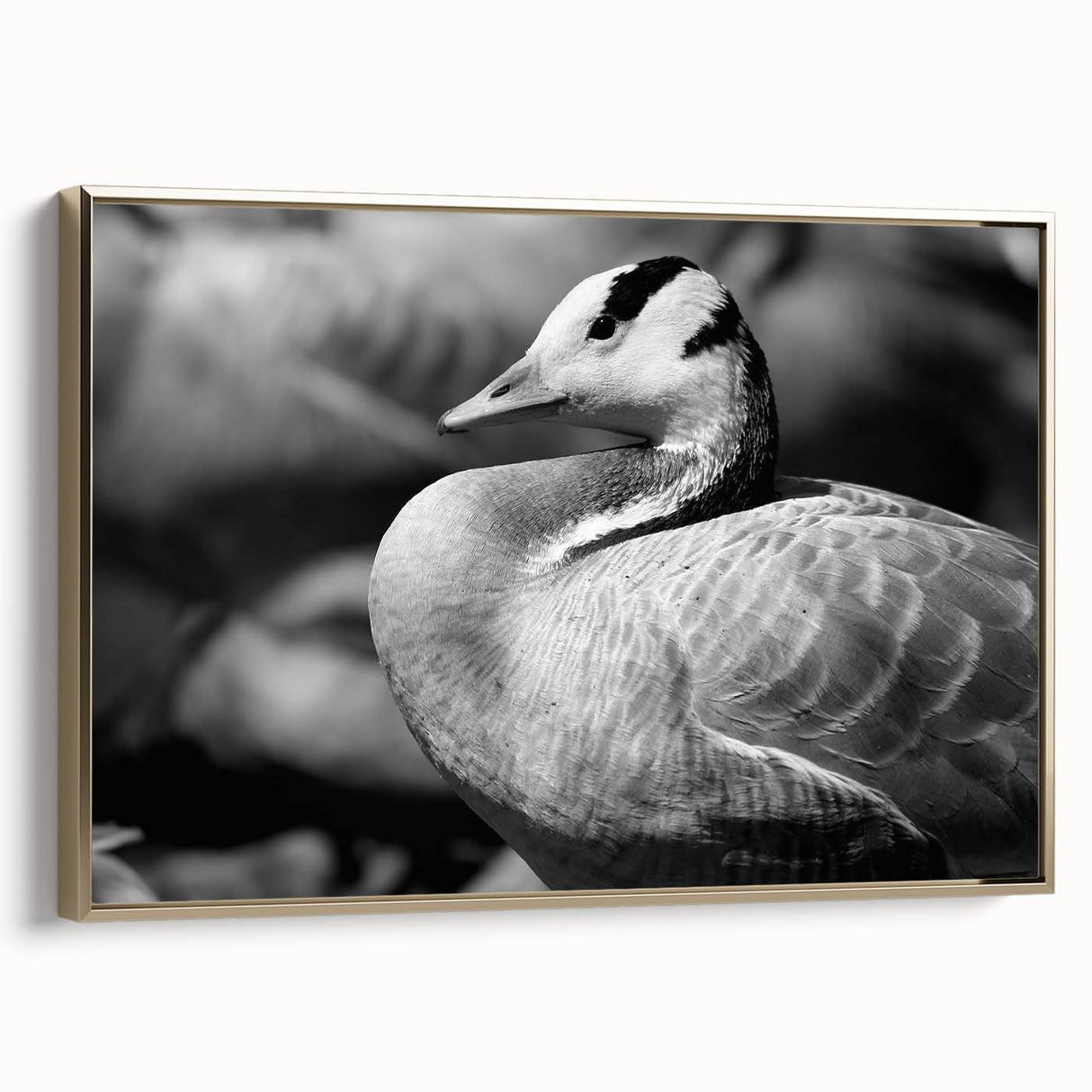 Framed canvas wall art showcasing a serene goose design in gold tones, elegantly displayed from a side view, ideal for enhancing modern decor.