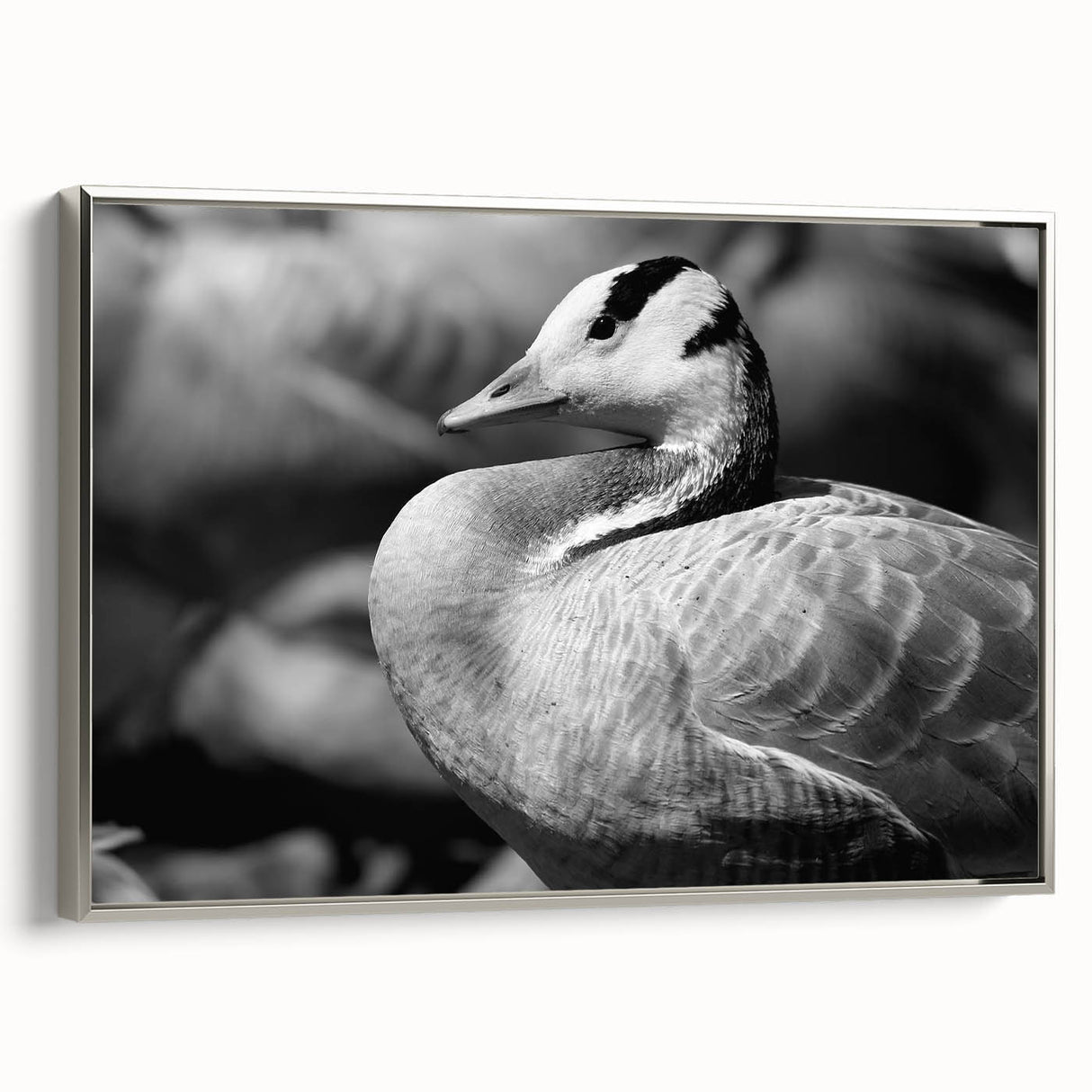 Framed wall art collection featuring a serene goose design on a textured canvas, elegantly bordered in silver, perfect for enhancing modern home decor.