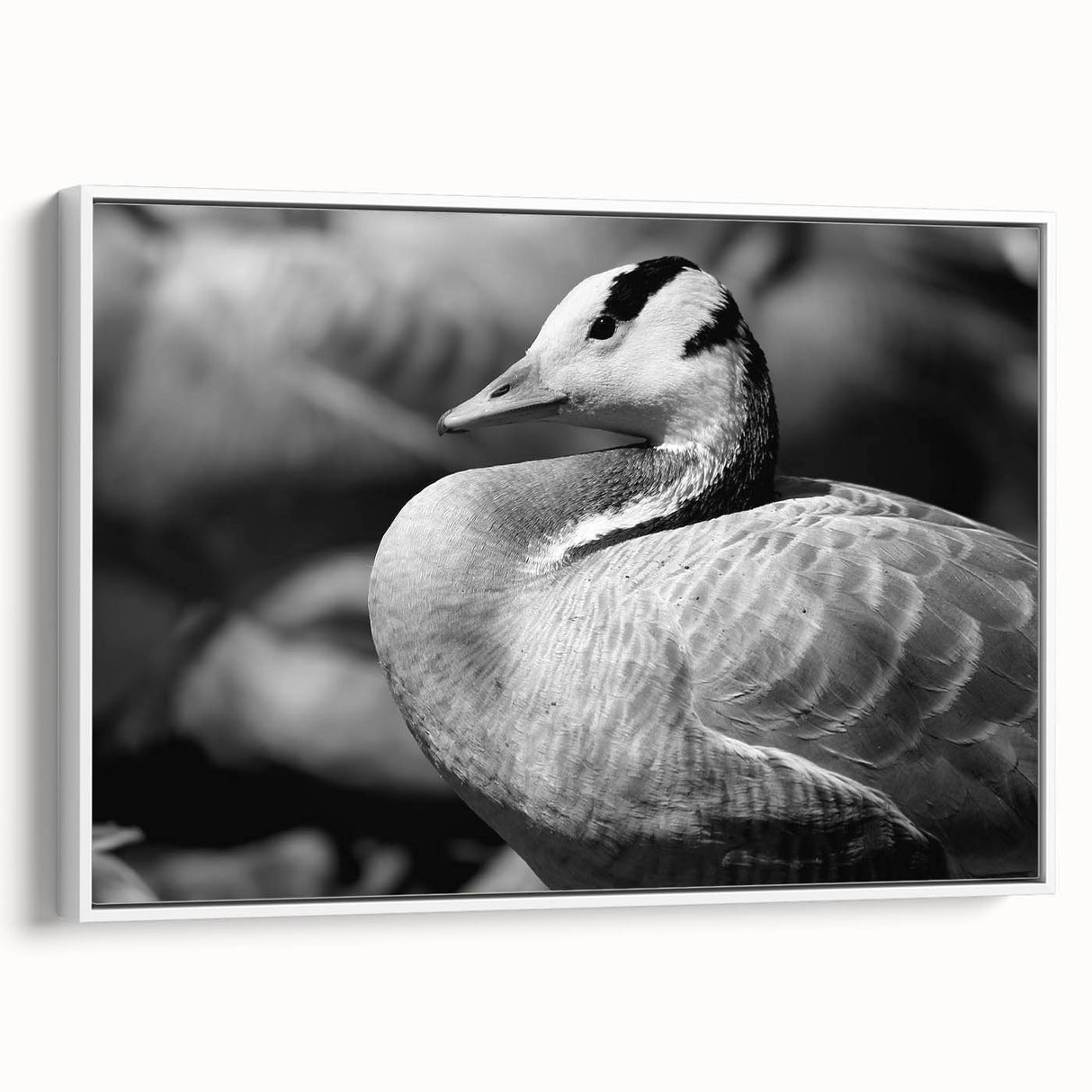 Framed wall art featuring a serene goose design on a white canvas, showcasing elegant brush strokes and a modern aesthetic, perfect for home decor.