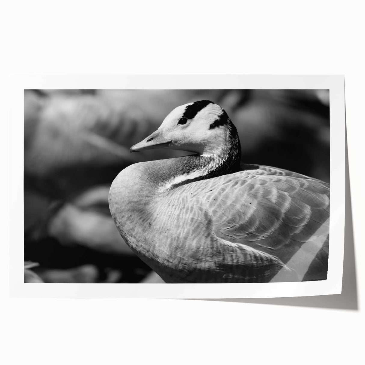 Colorful wall art print featuring a whimsical design of geese in flight against a soft pastel background, ideal for enhancing home decor with nature-inspired aesthetics.