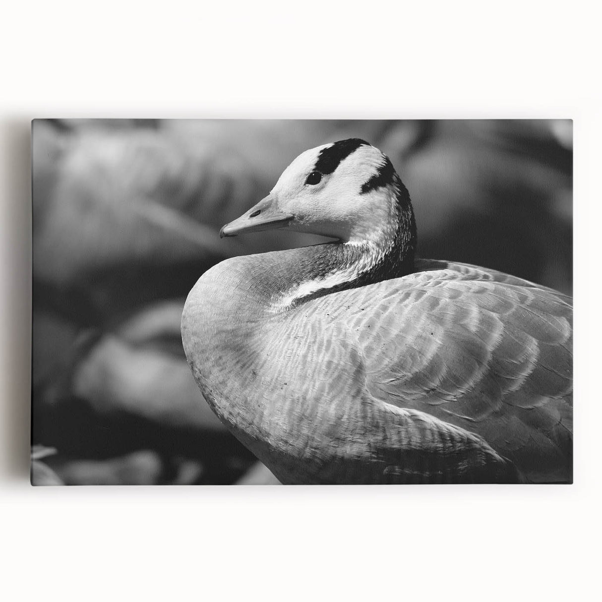 Stretched canvas wall art showcasing a serene flock of geese flying over a tranquil lake at sunset, perfect for enhancing home decor with nature themes.