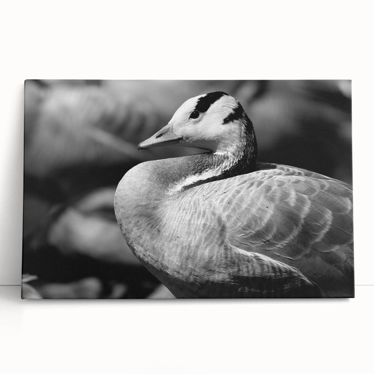 Stretched canvas wall art featuring a serene design of geese in a natural setting, showcasing soft pastels and intricate details, perfect for home decor.