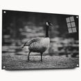 Side view of a wall art collection featuring a stylized goose design printed on acrylic glass, showcasing vibrant colors and mounted with decorative pins for display. Perfect for modern home décor enthusiasts looking to enhance their living space with unique and eye-catching art.