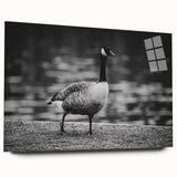 Acrylic wall art collection showcasing a detailed side view of a goose design, featuring vibrant colors and a sleek finish, ideal for modern home decor.
