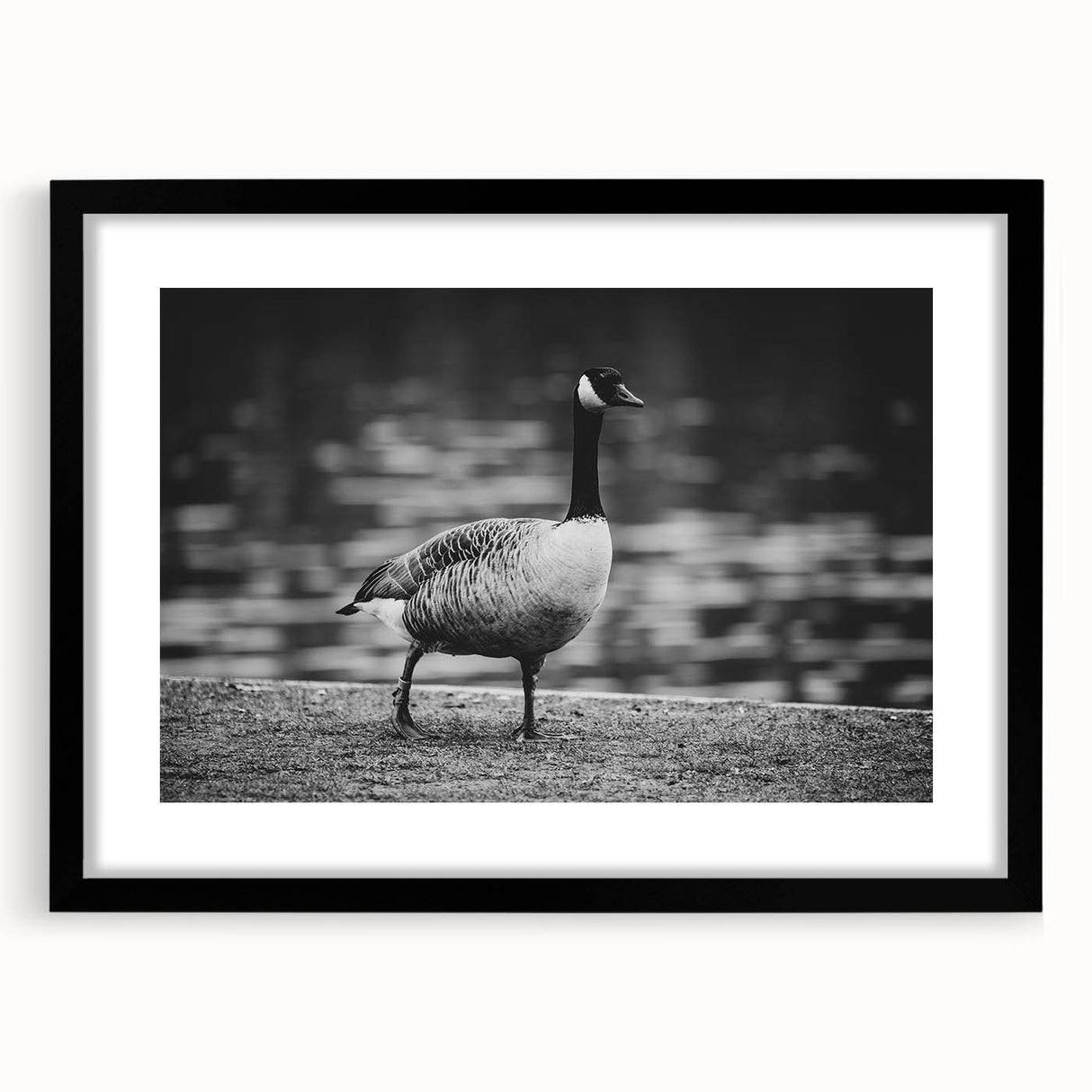 Framed black wall art featuring a serene goose design in a minimalist style, showcasing intricate details and a sleek mat, ideal for modern home decor.