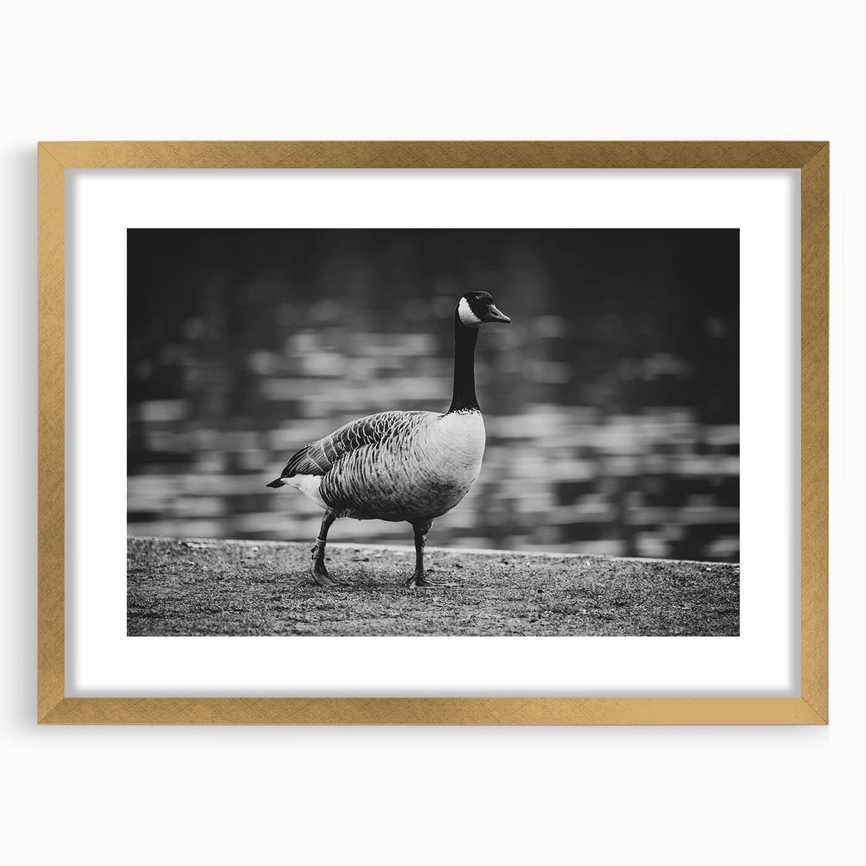 Elegant wall art showcasing a framed goose design with a gold mat, perfect for enhancing modern decor. Ideal for bird lovers and nature enthusiasts seeking stylish home accents.