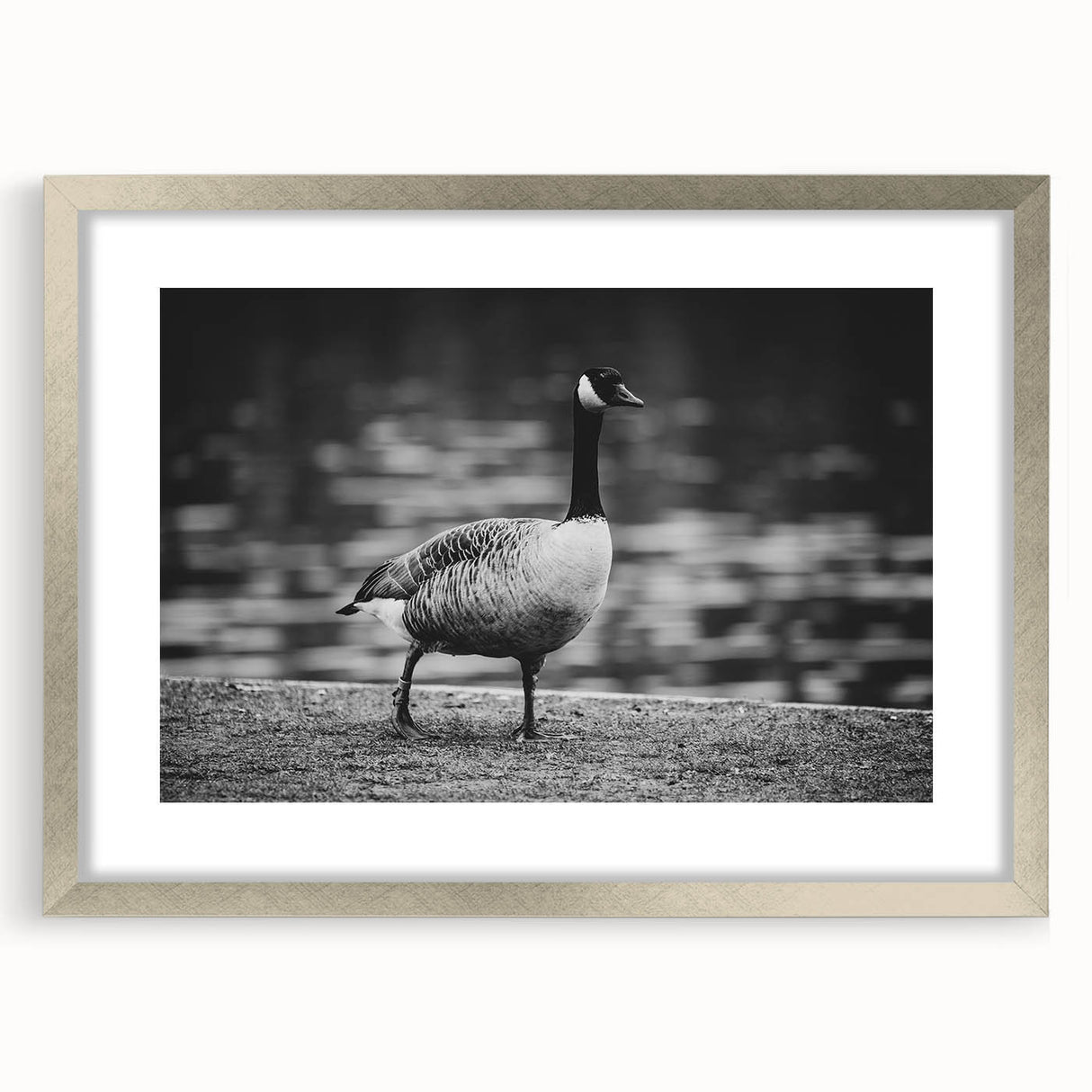 Elegant silver-framed wall art featuring a detailed goose design, showcasing intricate patterns and textures, perfect for enhancing modern home decor.