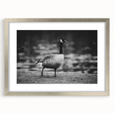 Elegant silver-framed wall art featuring a detailed goose design, showcasing intricate patterns and textures, perfect for enhancing modern home decor.