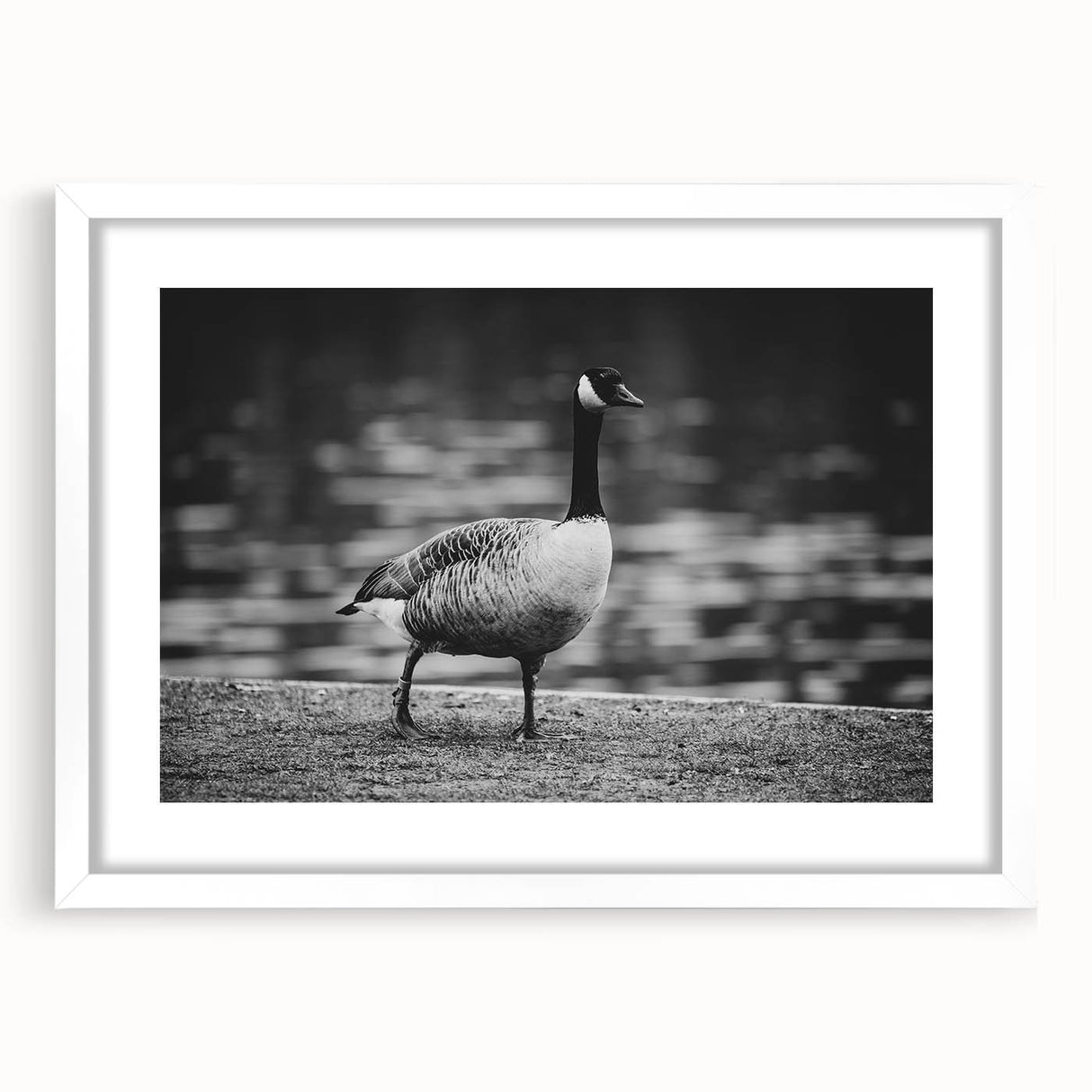 Framed wall art featuring a serene goose design, showcasing soft colors and intricate details, perfect for adding a touch of nature to home decor.