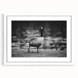 Framed wall art featuring a serene goose design, showcasing soft colors and intricate details, perfect for adding a touch of nature to home decor.