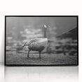 Framed wall art featuring a stylish design of geese in flight, presented in a sleek black frame. Ideal for modern home decor, adding a touch of elegance and nature.