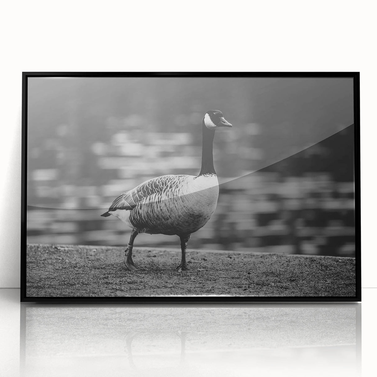Framed wall art featuring a stylish design of geese in flight, presented in a sleek black frame. Ideal for modern home decor, adding a touch of elegance and nature.