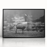 Framed wall art featuring a stylish design of geese in flight, presented in a sleek black frame. Ideal for modern home decor, adding a touch of elegance and nature.