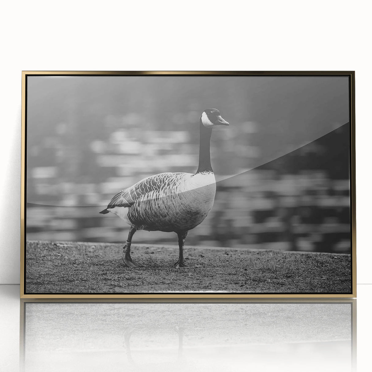 Framed wall art featuring a gold-accented goose design, displayed in an elegant acrylic frame, perfect for modern home decor. Ideal for bird lovers and art enthusiasts.