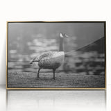 Framed wall art featuring a gold-accented goose design, displayed in an elegant acrylic frame, perfect for modern home decor. Ideal for bird lovers and art enthusiasts.