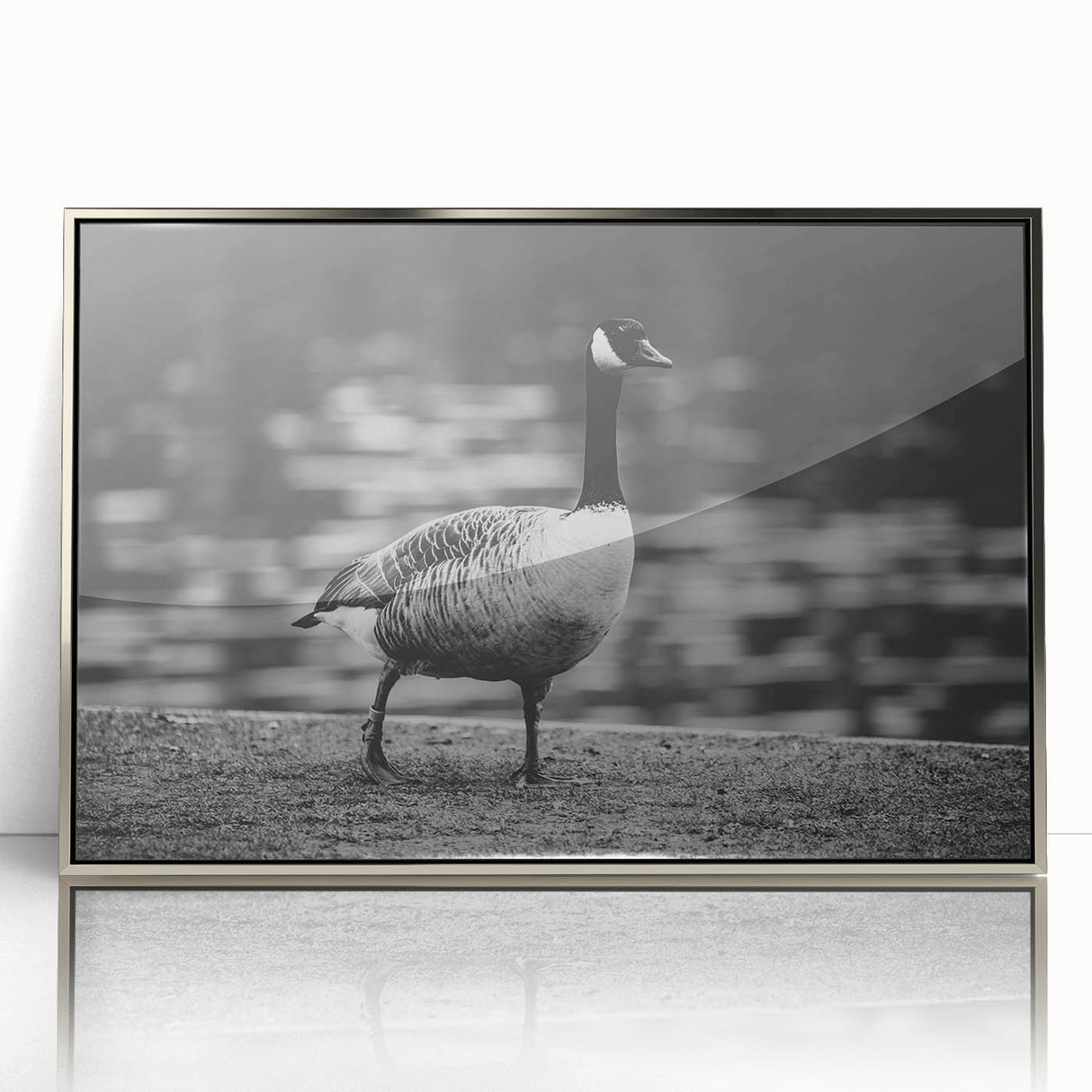 Framed wall art featuring a modern goose design in an elegant silver frame, showcasing intricate details and vibrant colors, perfect for home decor enhancement.