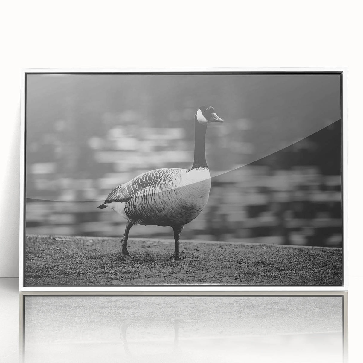 Framed wall art collection featuring a minimalist goose design in white acrylic, ideal for modern home decor. Perfect for adding elegance to any living space.