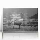 Framed wall art collection featuring a minimalist goose design in white acrylic, ideal for modern home decor. Perfect for adding elegance to any living space.