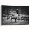 Framed wall art featuring a stylish black and white goose design on canvas, showcasing elegant lines and textures, perfect for modern home decor accents.