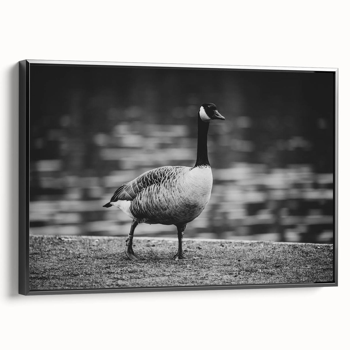 Framed wall art featuring a stylish black and white goose design on canvas, showcasing elegant lines and textures, perfect for modern home decor accents.