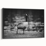 Framed wall art featuring a stylish black and white goose design on canvas, showcasing elegant lines and textures, perfect for modern home decor accents.