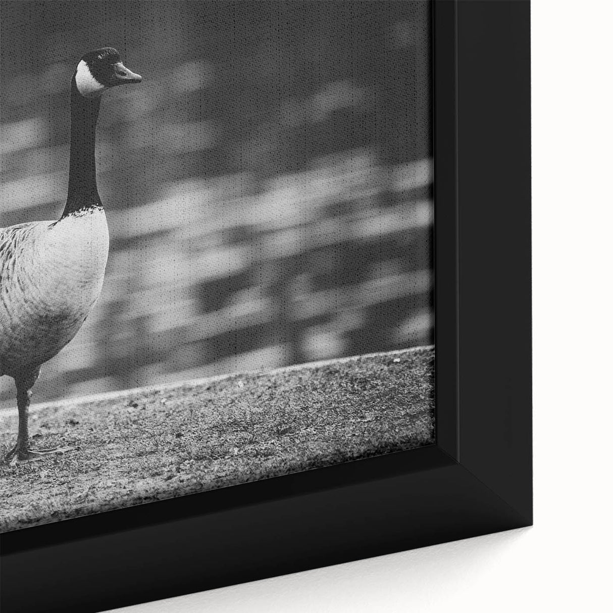 Close-up of a framed canvas wall art piece showcasing a detailed goose design, featuring vibrant colors and intricate patterns, perfect for home decor.
