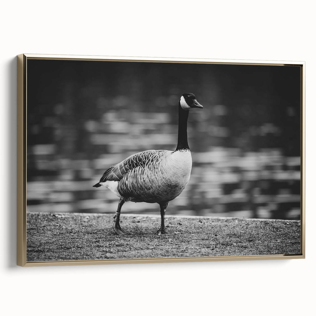 Framed wall art featuring a serene goose design on canvas, showcasing elegant gold accents and a side view, perfect for home decor enthusiasts.