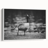 Framed wall art collection featuring a serene goose design on a white canvas, displayed in a stylish side view. Ideal for enhancing modern home decor.