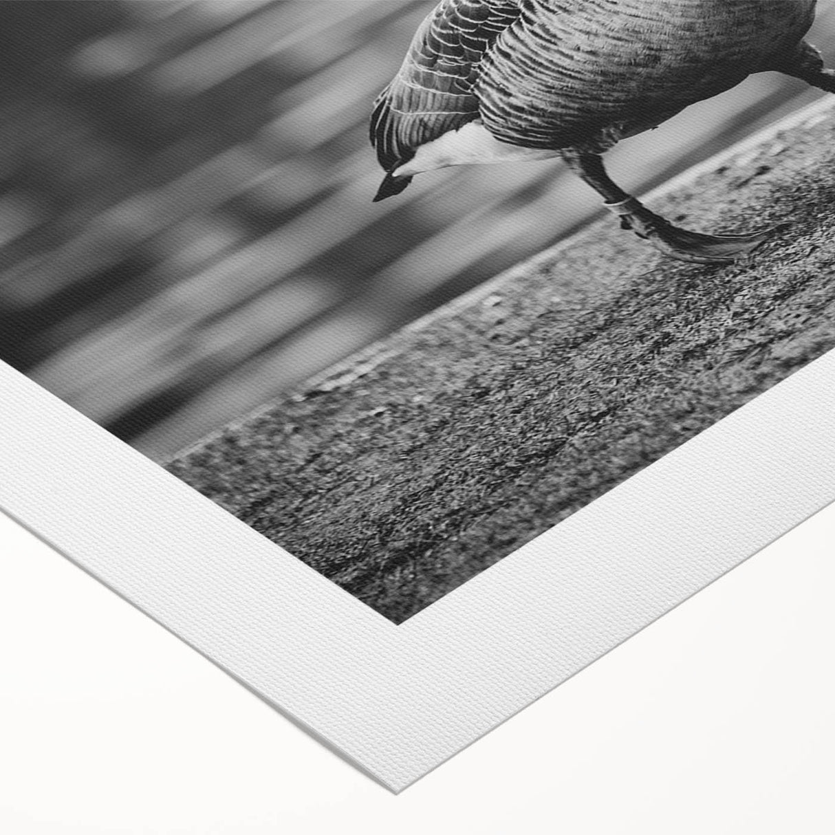 Rolled canvas showcasing a vibrant goose design in a whimsical, artistic style, perfect for enhancing home decor. The artwork features rich colors and intricate details, adding a playful touch to any room.