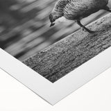 Rolled canvas showcasing a vibrant goose design in a whimsical, artistic style, perfect for enhancing home decor. The artwork features rich colors and intricate details, adding a playful touch to any room.