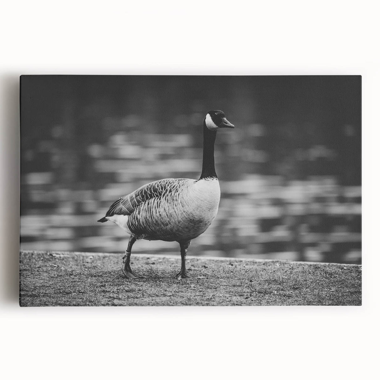 Stretched canvas wall art featuring a serene goose design, showcasing soft pastel colors and intricate detailing, perfect for enhancing home decor.