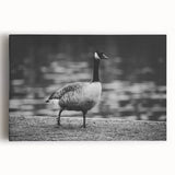 Stretched canvas wall art featuring a serene goose design, showcasing soft pastel colors and intricate detailing, perfect for enhancing home decor.