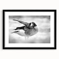 Framed wall art collection featuring a detailed goose design, presented in a sleek black frame with a white mat, ideal for home decor enthusiasts.