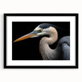 Black-framed wall art featuring a serene heron and egret design, showcasing delicate bird silhouettes against a soft background, perfect for nature-inspired decor.