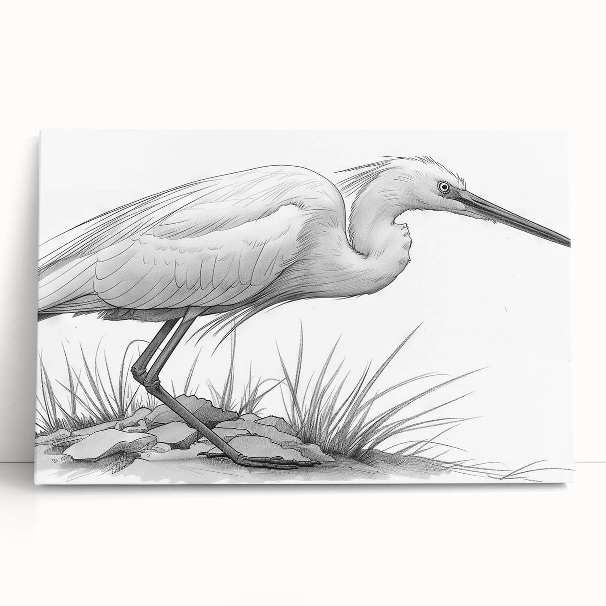 Stretched canvas wall art featuring a serene heron and egret design, showcasing vibrant colors and intricate details, perfect for enhancing home decor.